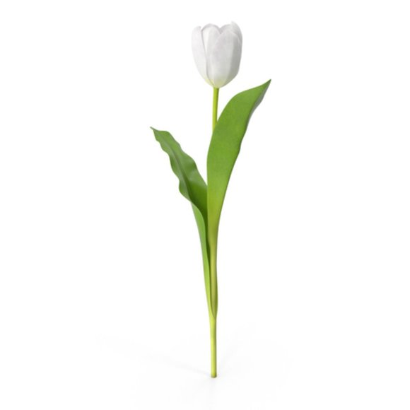 Welcome to the DutchSells Closet! - Picture 1 of 1